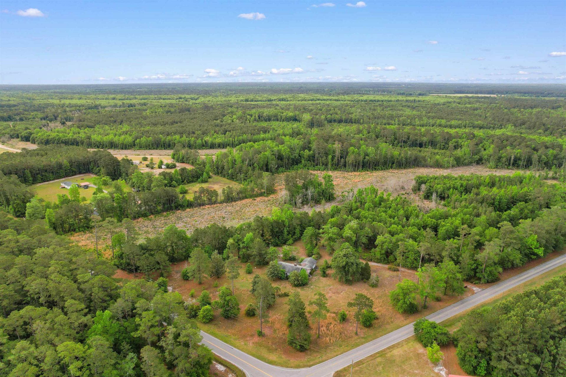 10201 Lake Swamp Rd. Photo 46