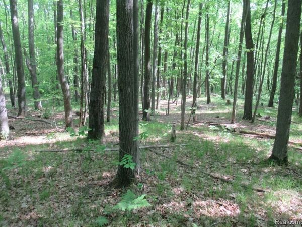 2360 Fawn Circle , Hayes Twp, MI 48625