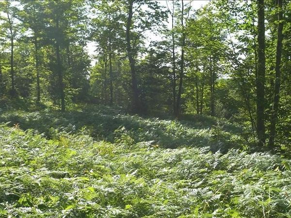 83xxx Ashwabay Heights Rd, Bayfield, WI 54814