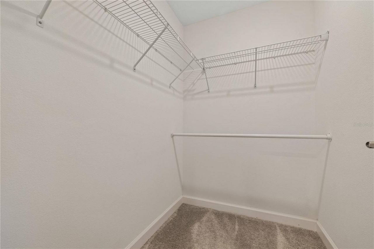 1295 White Fox Run , Lutz, FL 33549 Photo