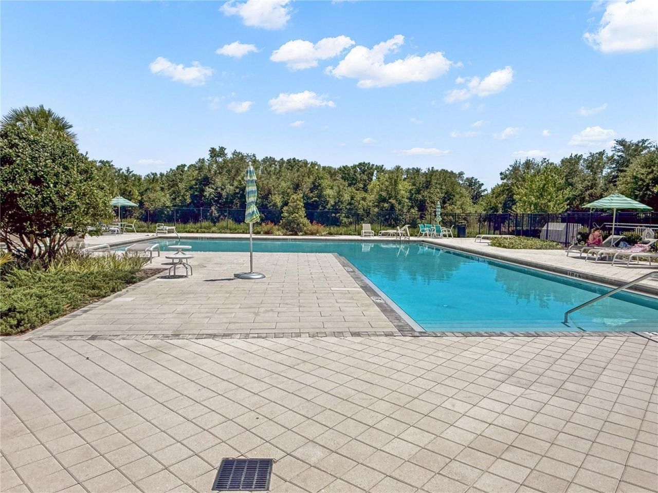 1295 White Fox Run , Lutz, FL 33549 Photo