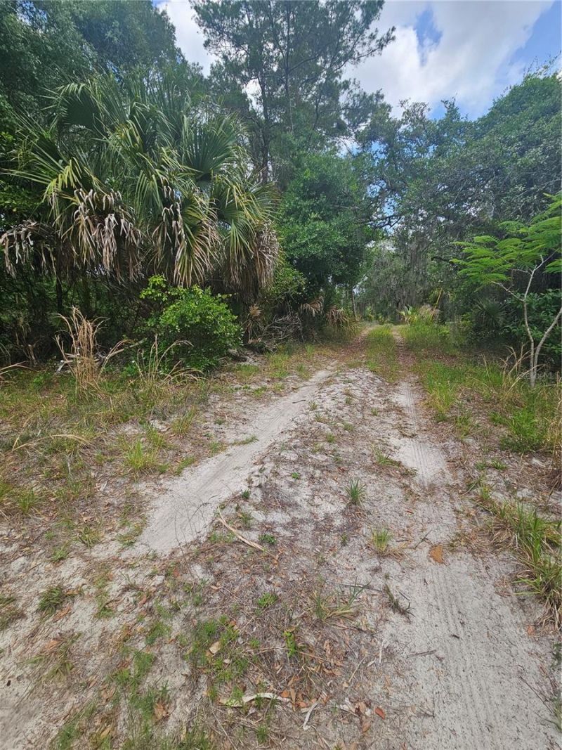 0 Culver Way , Geneva, FL 32732 Photo