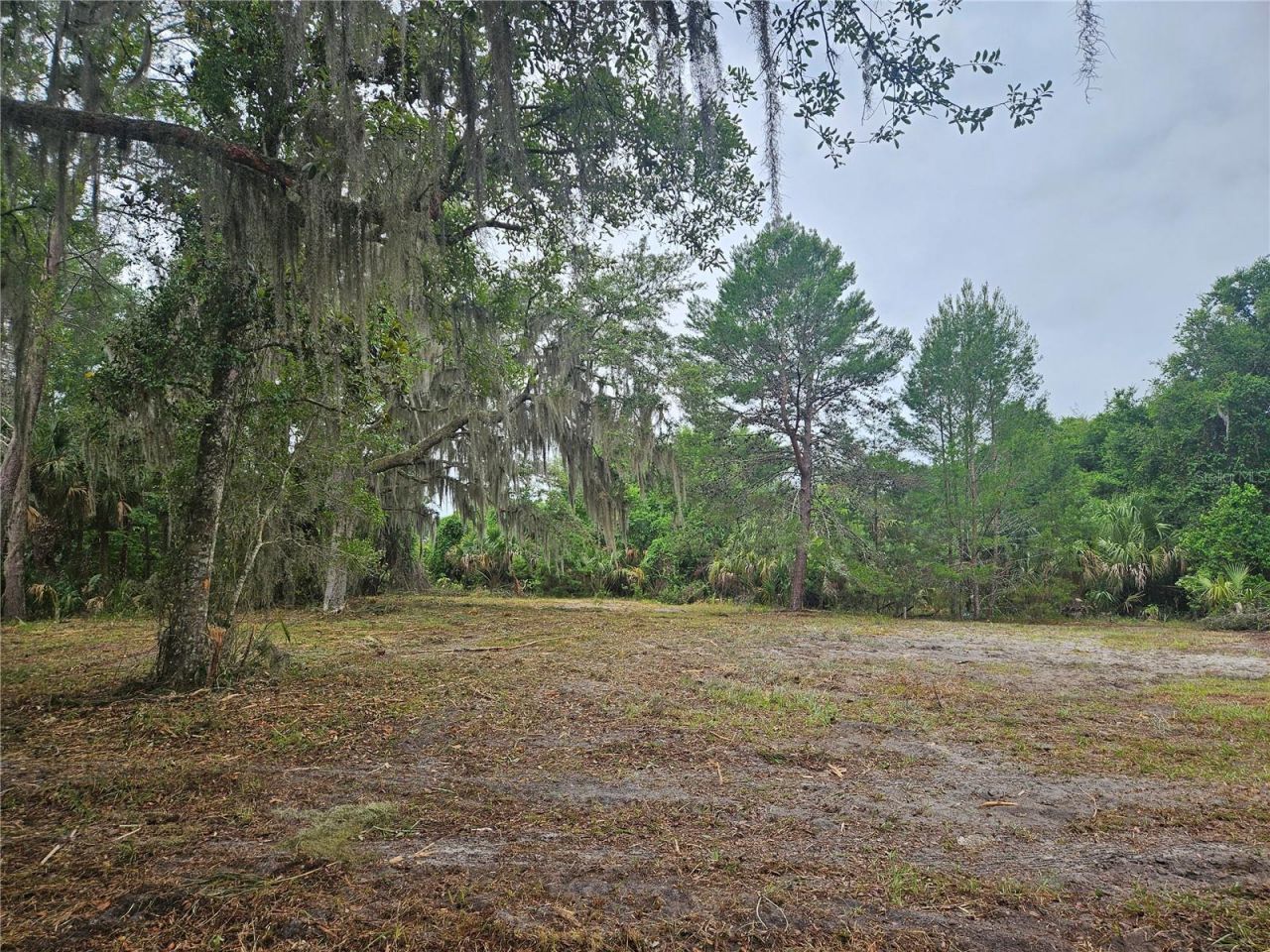 0000 Culver Way , Geneva, FL 32732 Photo