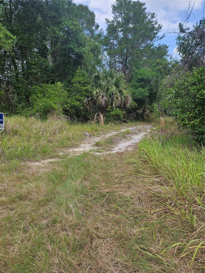 00 Culver Way , Geneva, FL 32732 Photo