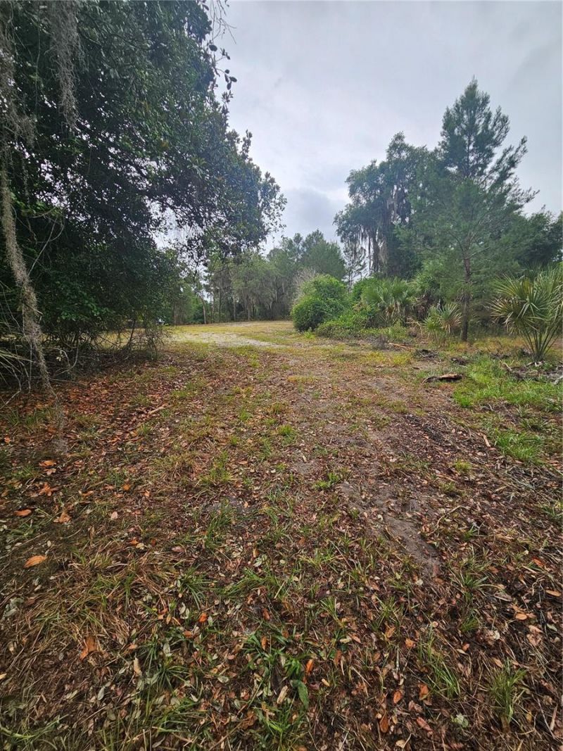 00 Culver Way , Geneva, FL 32732 Photo