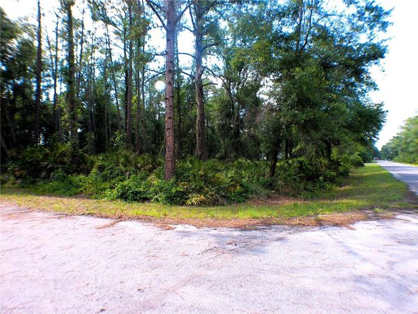 SEQUOIA DRIVE , OCKLAWAHA, FL 32179