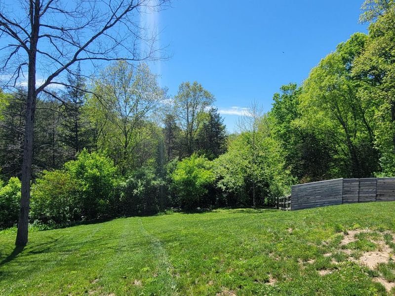 490 Eagle Creek Drive, Dry Ridge, KY 41035 Photo 4