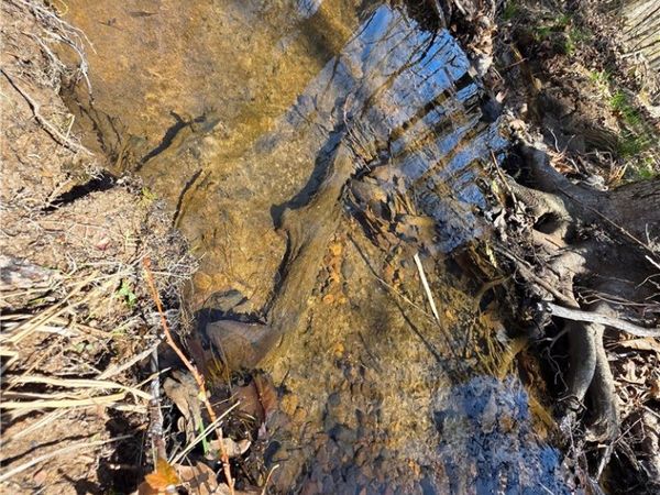 Mountain Springs Rd , Compton, AR 72624