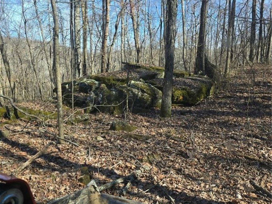 Property Image 13
