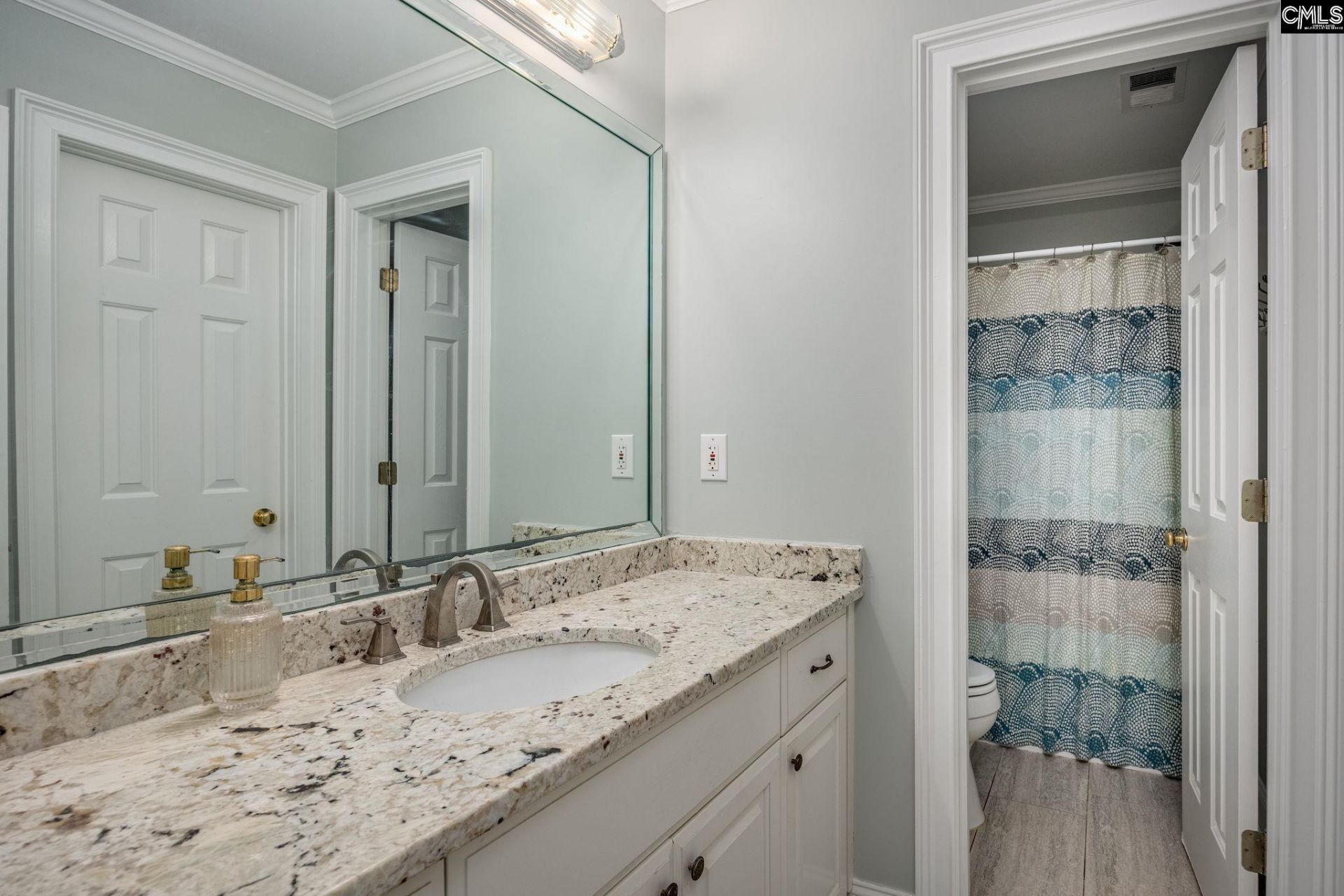 150 Hickory Meadow Photo 42