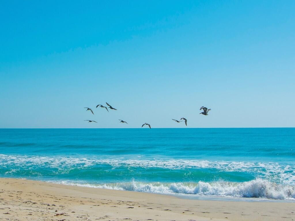 5167 N Highway A1a Highway, Unit 504, Fort Pierce, FL 34949 Photo