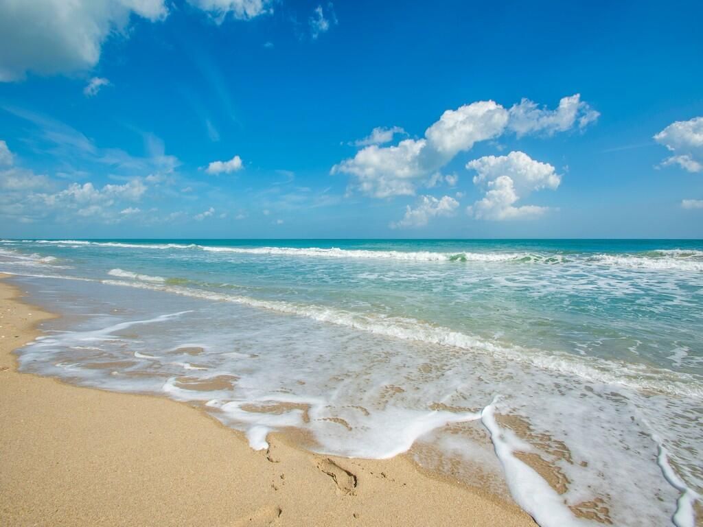 5167 N Highway A1a Highway, Unit 504, Fort Pierce, FL 34949 Photo
