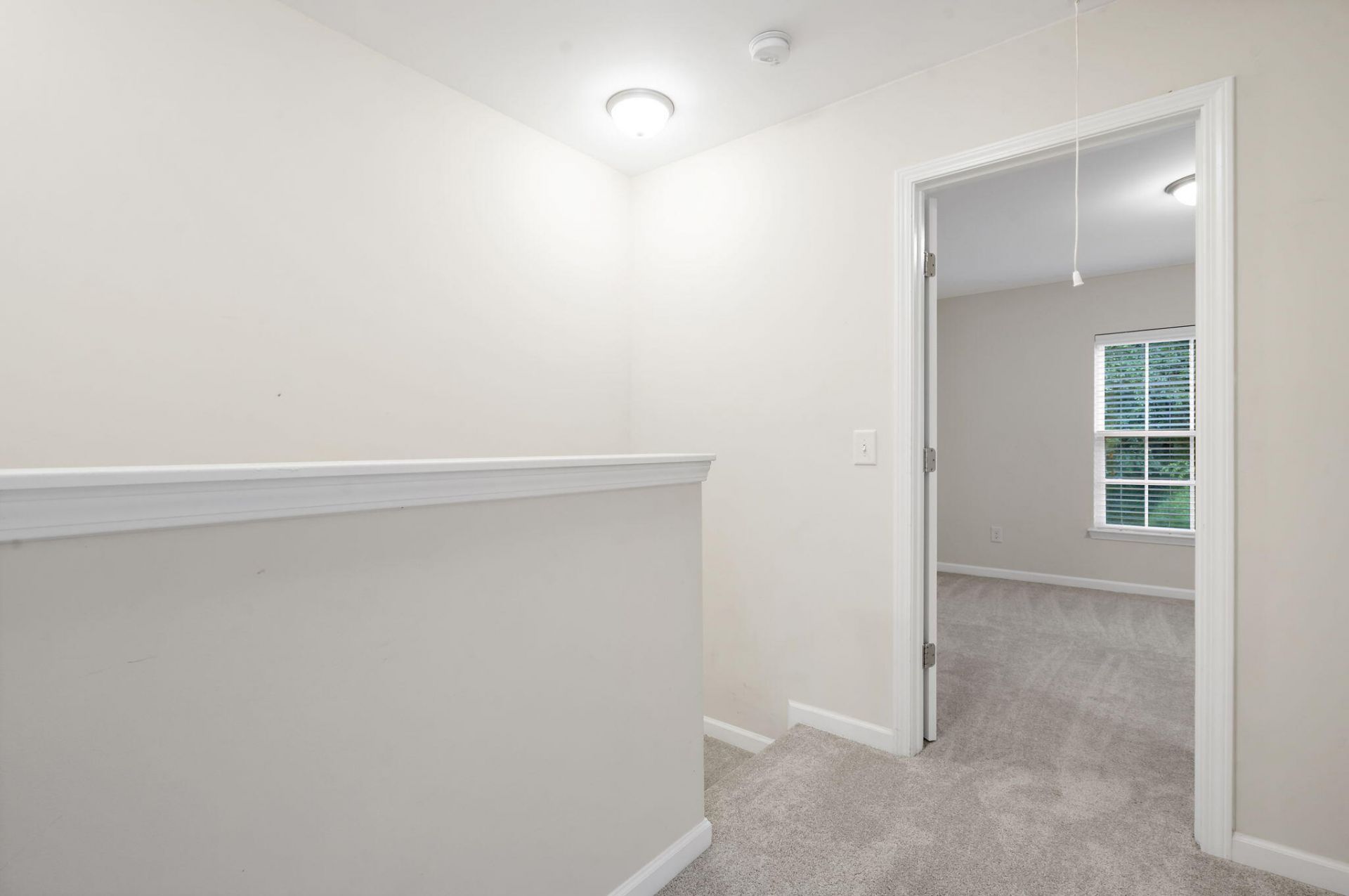 1051 Lexi Court Photo 18