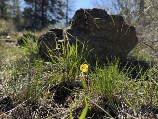 Lot 20 Crow Court, Boise, ID 83716