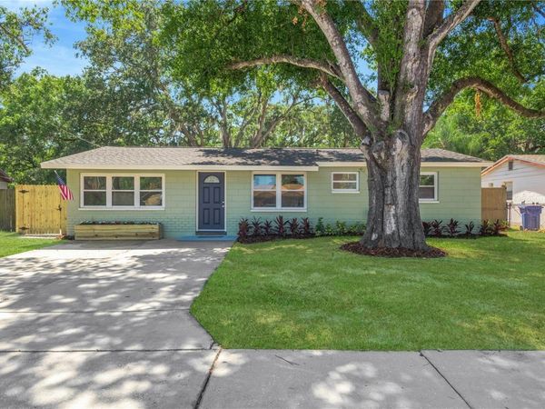 3820 BEECHWOOD BOULEVARD , TAMPA, FL 33619