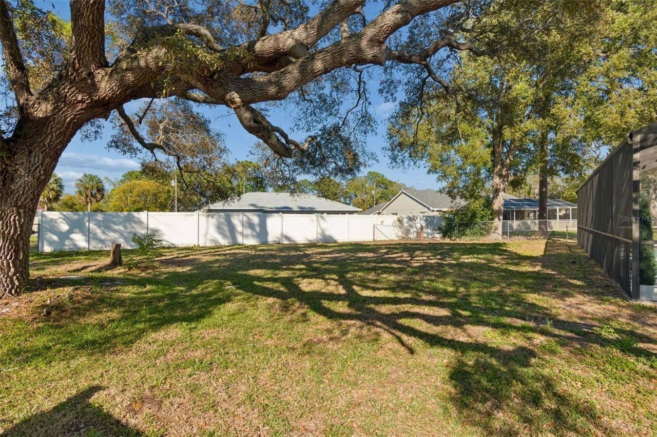 9203 Lavina Lane , Spring Hill, FL 34608 Photo