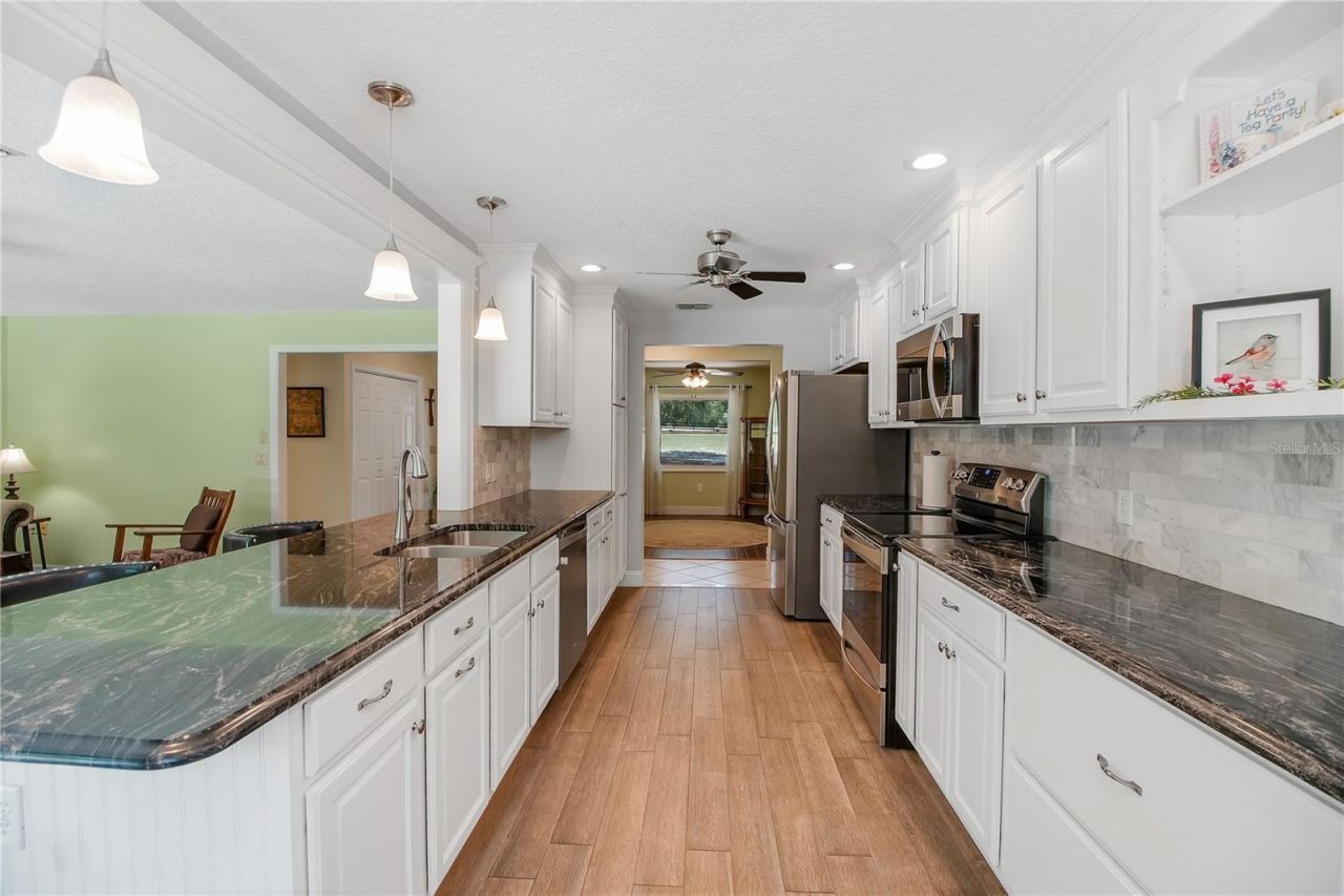 17373 SE 130th Avenue, Weirsdale, FL 32195 Photo