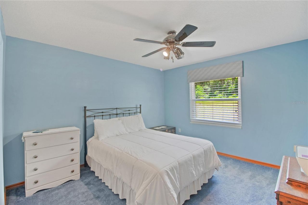 17373 SE 130th Avenue, Weirsdale, FL 32195 Photo