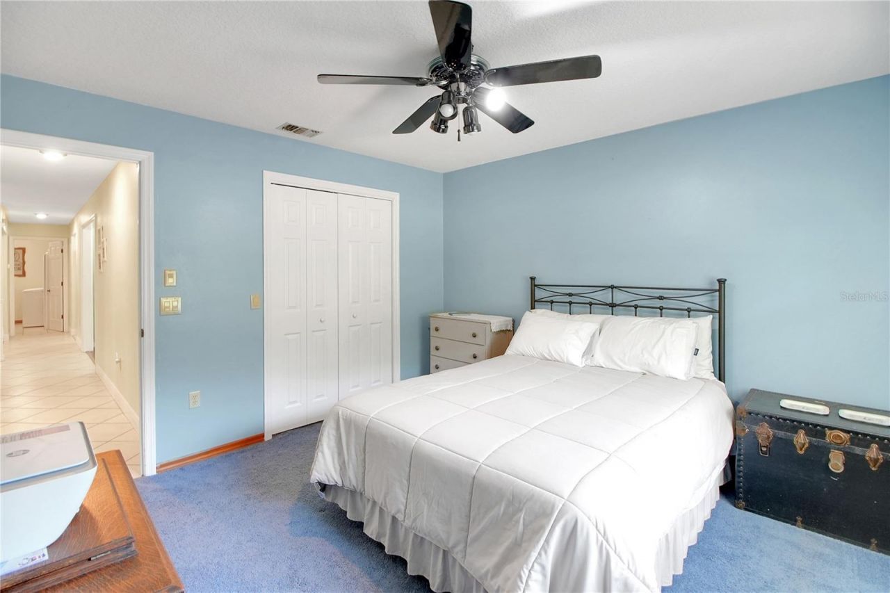 17373 SE 130th Avenue, Weirsdale, FL 32195 Photo