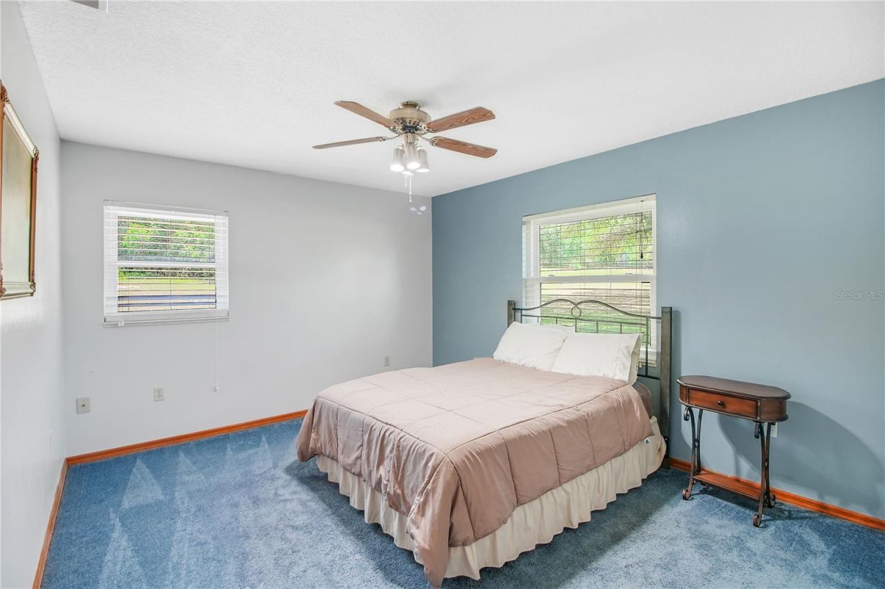 17373 SE 130th Avenue, Weirsdale, FL 32195 Photo