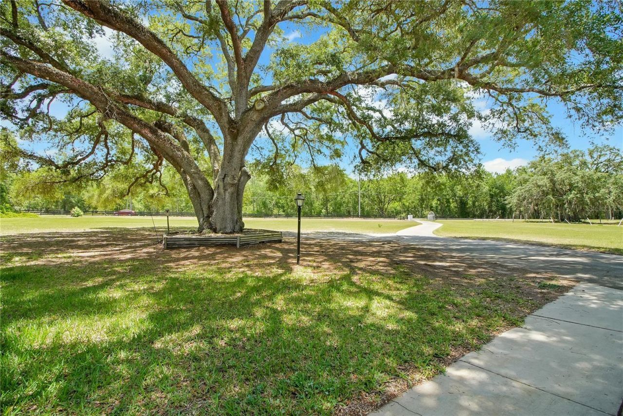 17373 SE 130th Avenue, Weirsdale, FL 32195 Photo