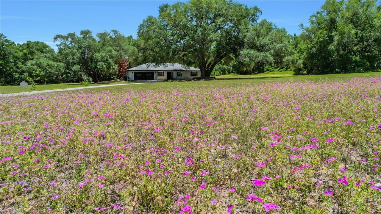 17373 SE 130th Avenue, Weirsdale, FL 32195 Photo