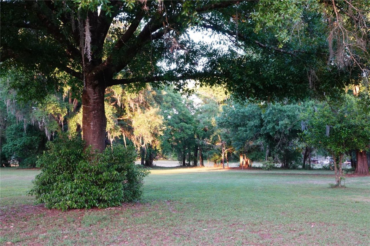 22838 Bungalow Lane , Land O Lakes, FL 34639 Photo