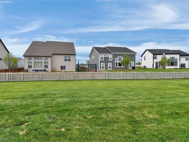 132 Cinnamon Teal Street, Pickerington, OH 43147 Photo 44