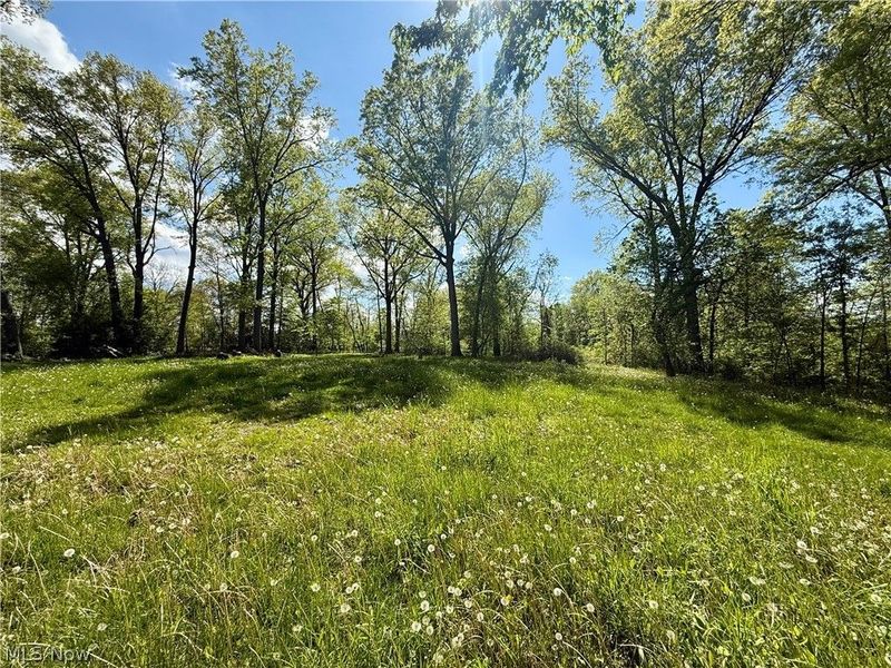 1128 Oakwood Drive, Vermilion, OH 44089 Photo 28