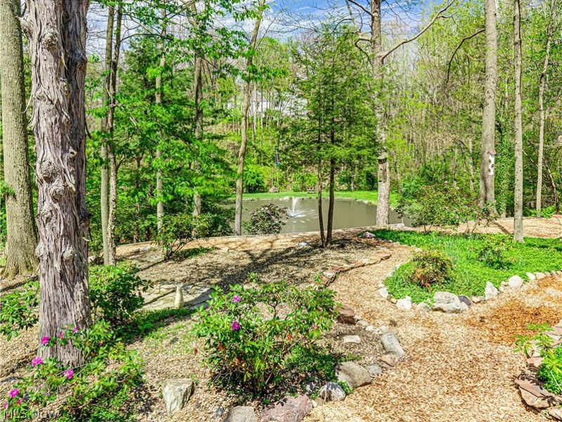 3227 Rustic Valley Drive, Medina, OH 44256 Photo 10