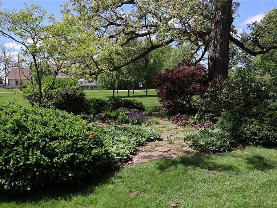 Property Image 64