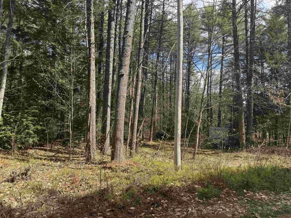 0 Riverwood Circle, Unit 12, Effingham, NH 03882