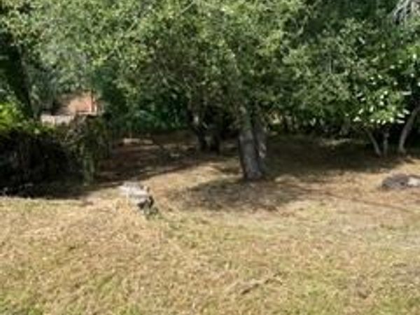 Planeta, El Dorado Hills, CA 95762