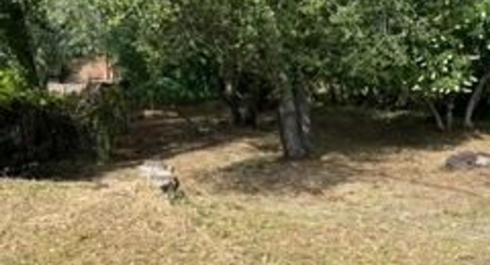 Planeta, El Dorado Hills, CA 95762 Photo