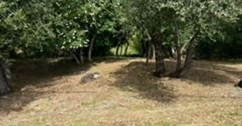 Planeta, El Dorado Hills, CA 95762 Photo