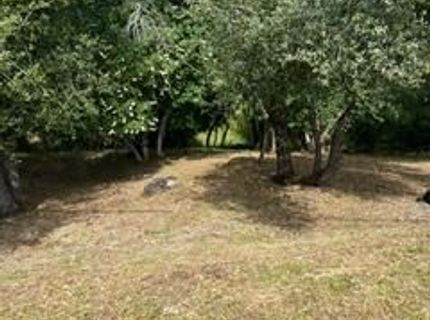 Planeta, El Dorado Hills, CA 95762 Photo