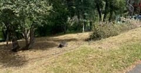 Planeta, El Dorado Hills, CA 95762 Photo