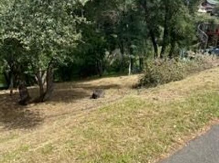 Planeta, El Dorado Hills, CA 95762 Photo
