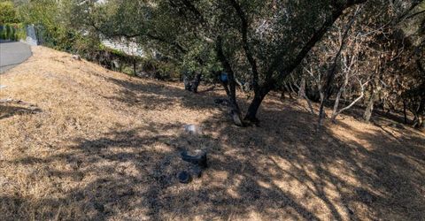 Planeta, El Dorado Hills, CA 95762 Photo