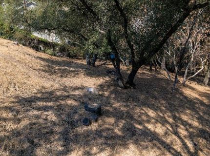 Planeta, El Dorado Hills, CA 95762 Photo