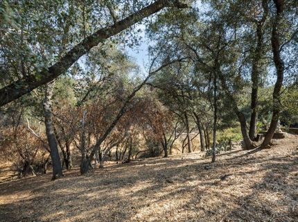 Planeta, El Dorado Hills, CA 95762 Photo