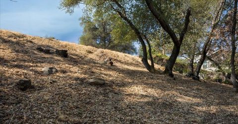 Planeta, El Dorado Hills, CA 95762 Photo