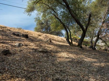 Planeta, El Dorado Hills, CA 95762 Photo
