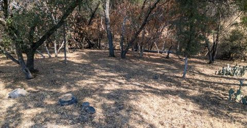 Planeta, El Dorado Hills, CA 95762 Photo