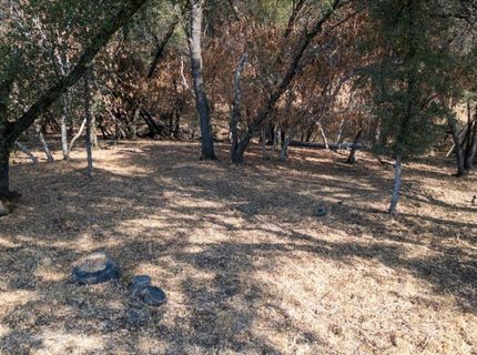 Planeta, El Dorado Hills, CA 95762 Photo