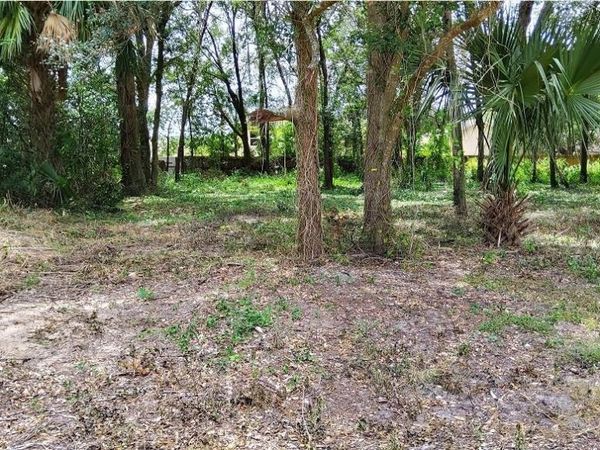 25050 ALGONQUIN AVENUE , MOUNT PLYMOUTH, FL 32776