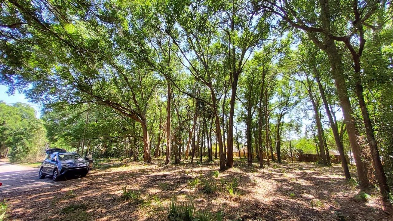 25050 Algonquin Avenue , Mount Plymouth, FL 32776 Photo