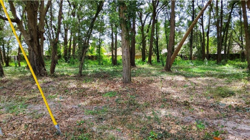 25050 Algonquin Avenue , Mount Plymouth, FL 32776 Photo
