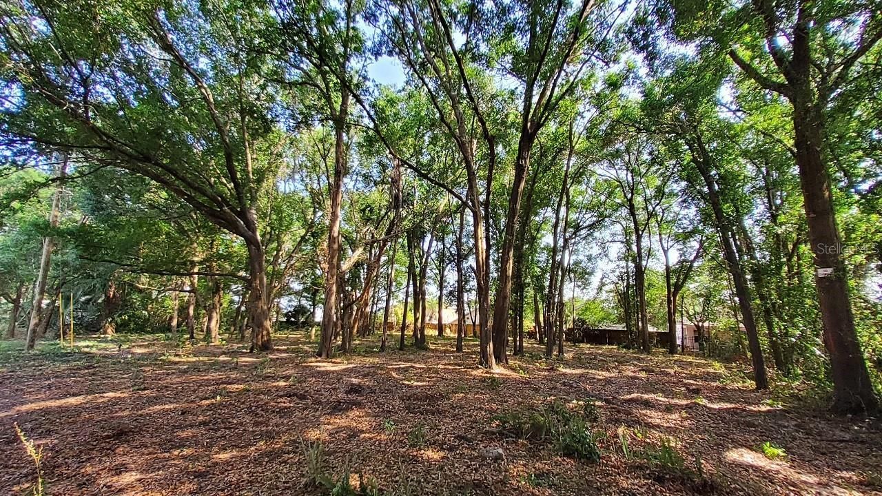 25050 Algonquin Avenue , Mount Plymouth, FL 32776 Photo