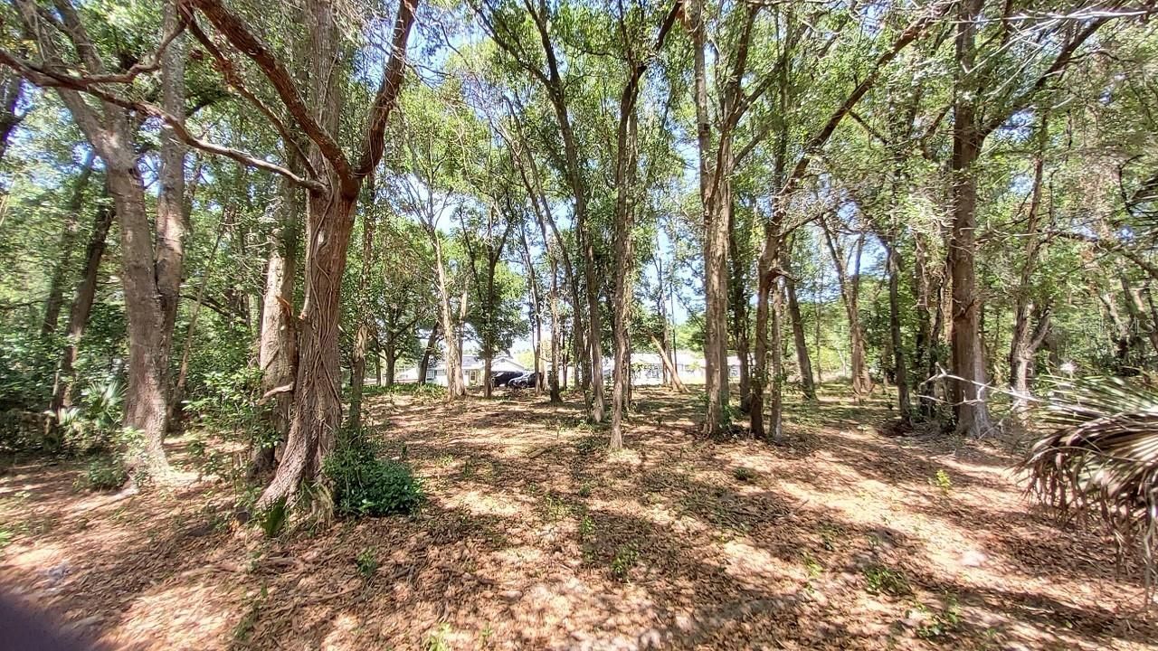 25050 Algonquin Avenue , Mount Plymouth, FL 32776 Photo